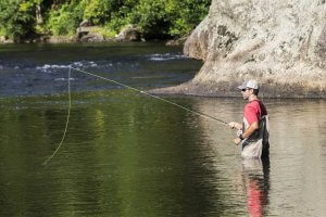 Fly Fishing in North Carolina - Best Fishing Near Brevard